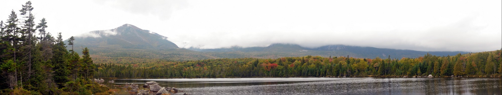 Mt Baxter Fall Leaves