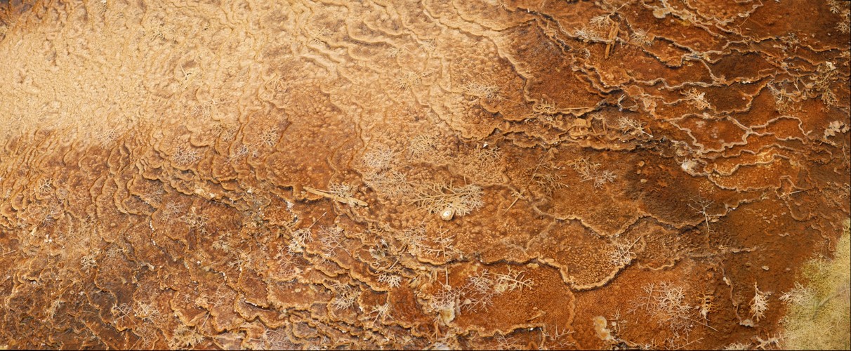 Mammoth Hot Springs - Color