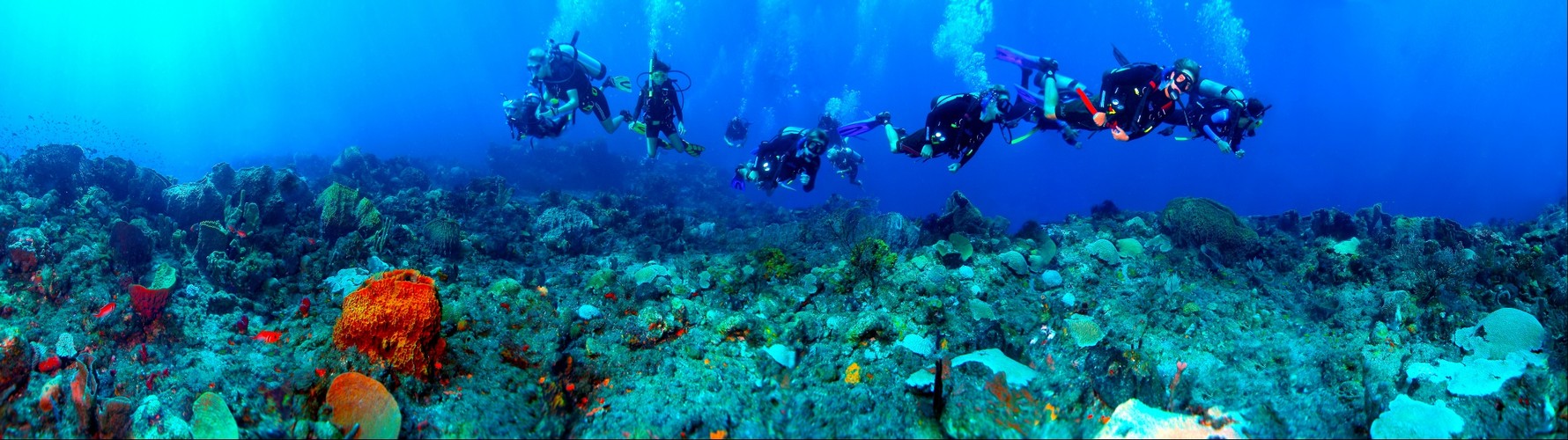 Odyssey students explore Mystery Reef