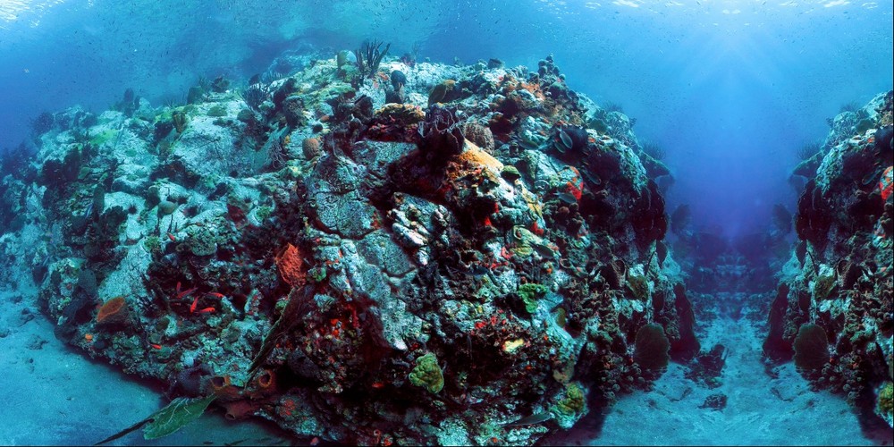 Petite Byahaut Reef