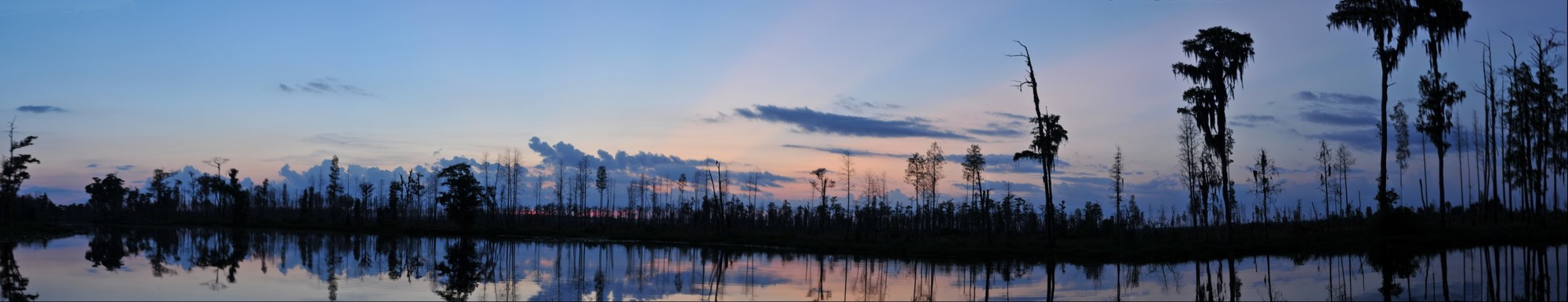 Dusk in the Okefenokee Swamp, Georgia