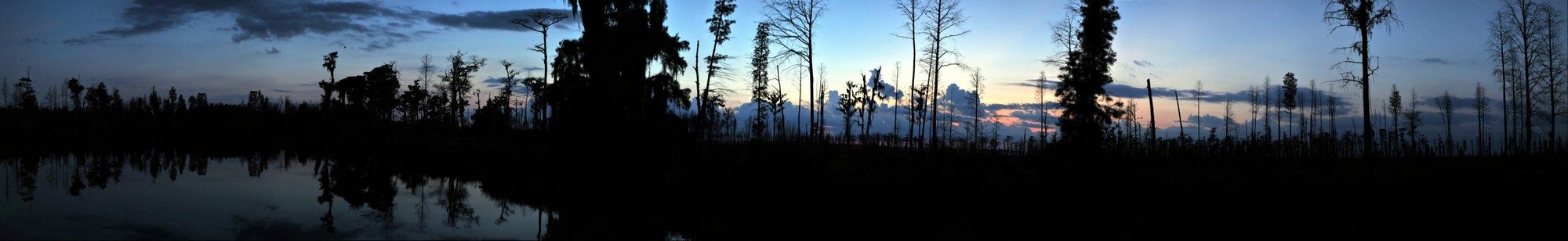 Okefenokee Swamp Sunset