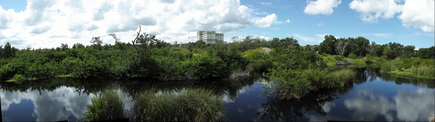 Tarpon Springs Wetland - Left Eye Stereoscopic