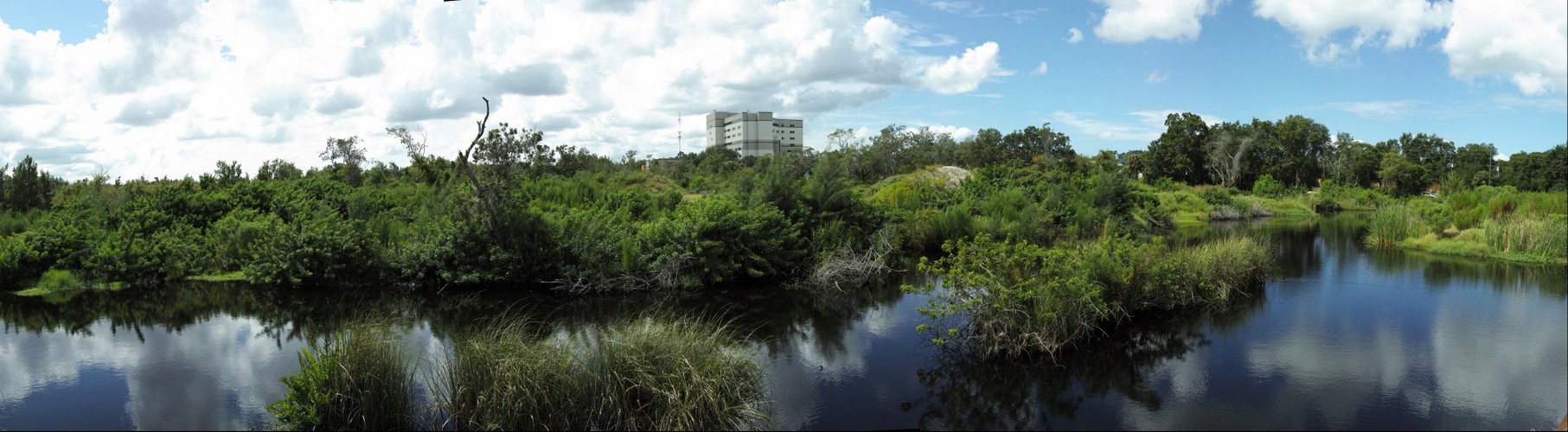 Tarpon Springs Wetland - right eye view of Stereoscopic pair