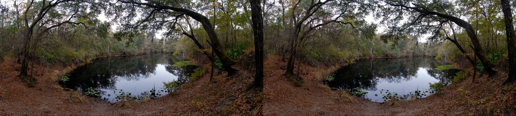 A lake in Alachua, stereo 3D view