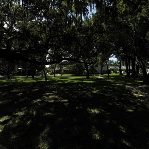 Craig Park - Back