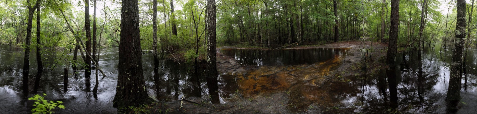 Little Satilla River, Flooding