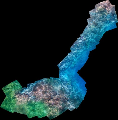 Fiji Reef