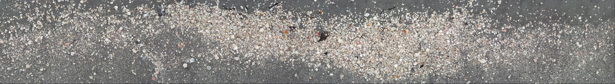 Captiva Island Sand