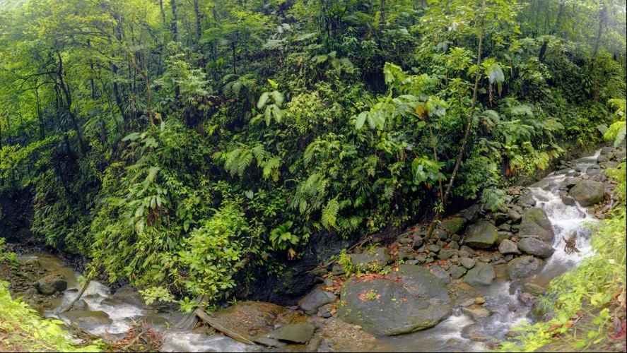 Rosalie River Watershed, Dominica