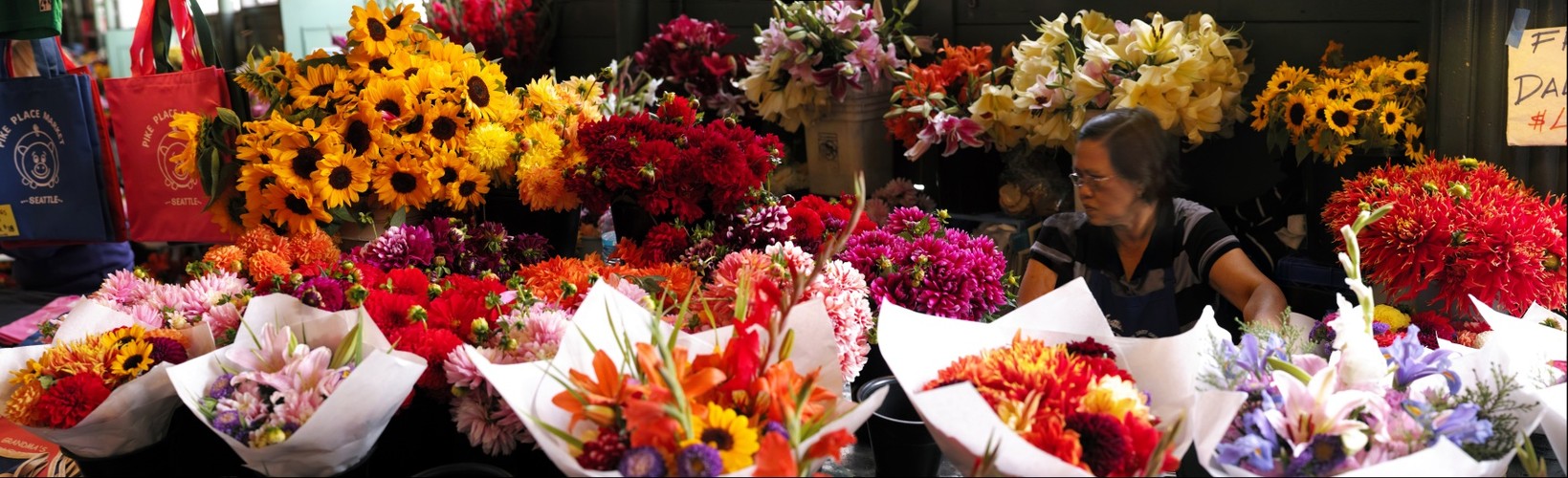 Flowers for Sale
