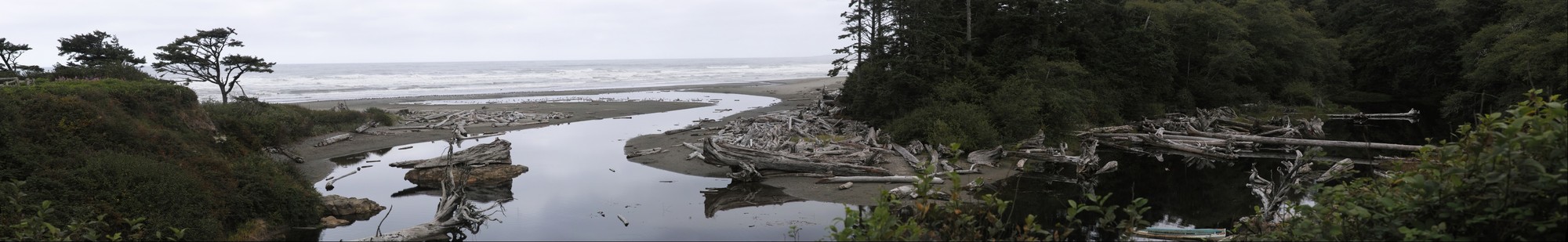 Olympic Peninsula, Washington