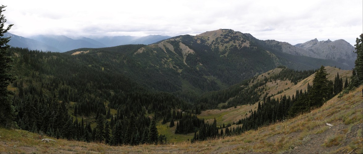 Hurricane Ridge, Olympic National Park
