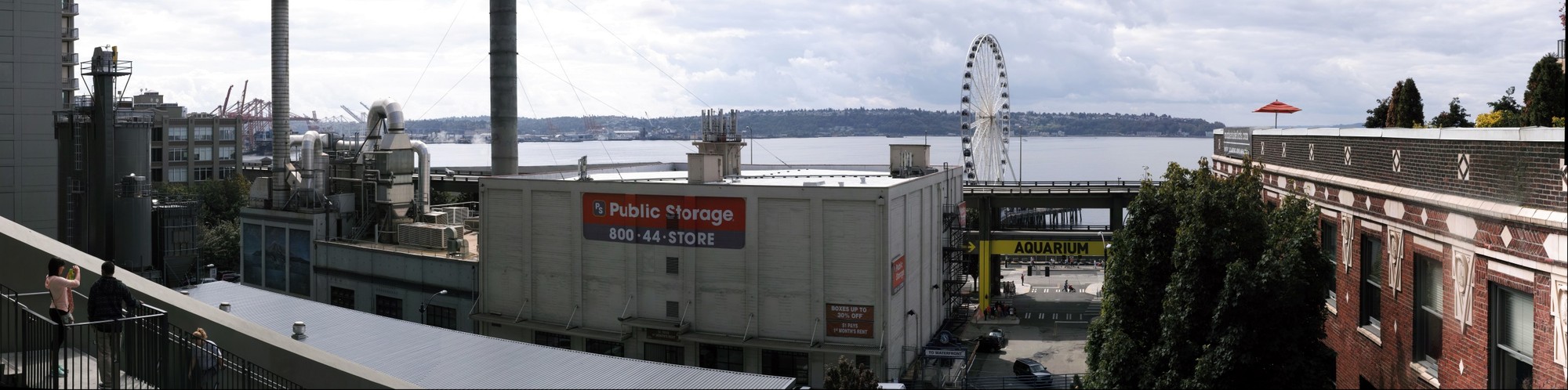 Ferris Wheel, Downtown Seattle