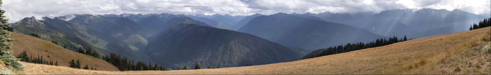 Hurrican Ridge and Mount Olympus