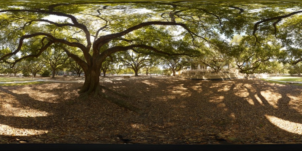 LSU LEFT - Stereoscopic 360x180 equirectangular