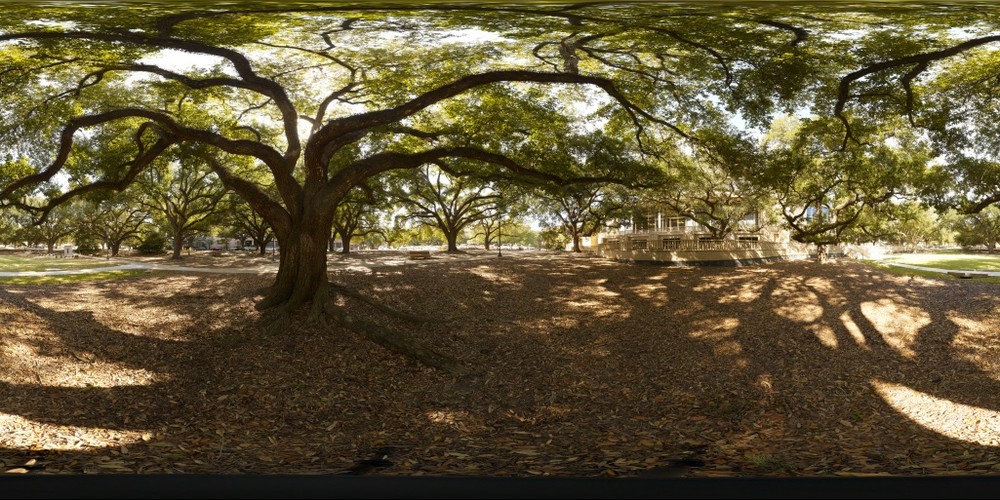 Live Oak - Right Eye, stereoscopic 3D view equirectangular