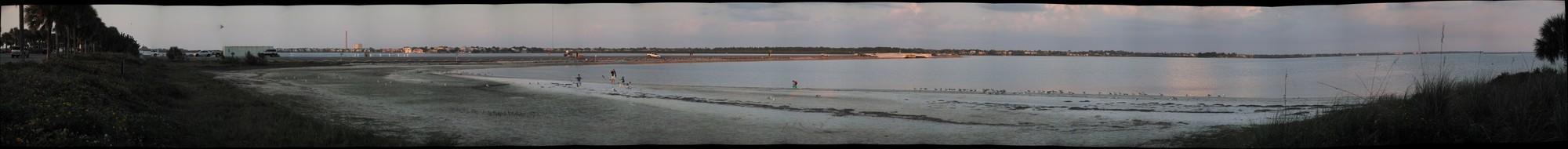 beach birds, Howard Park, Florida