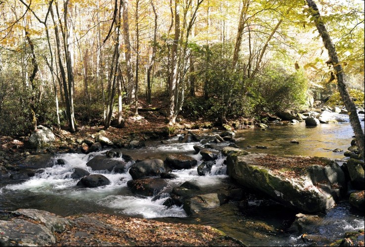 Great Smokey Mountains Fall Scene