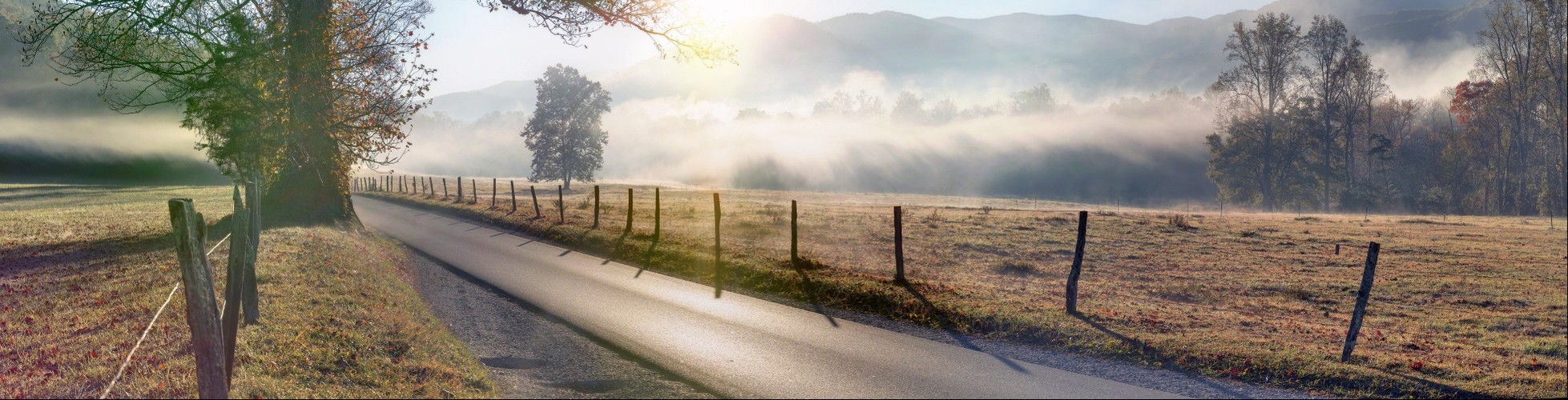 Misty Fall Morning in Cades Cove