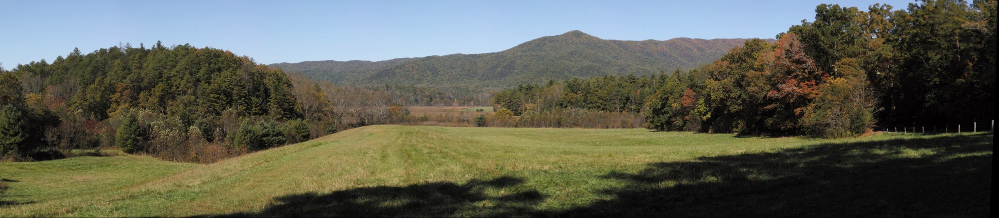 Cades Cove - Left Eye