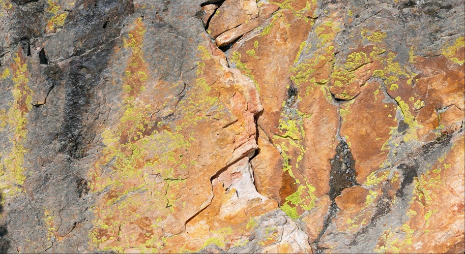 Eye to Eye  (lichen covered boulder)