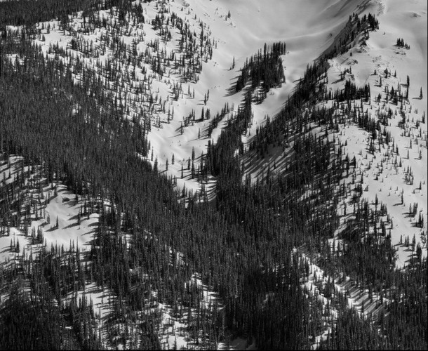Mountain Hillside Black and White Study