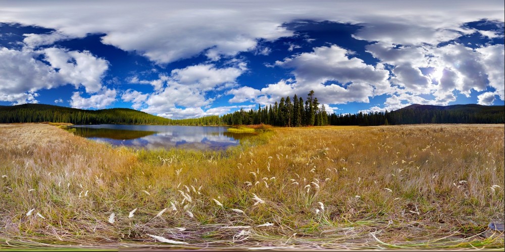 Sellar Lake Meadow