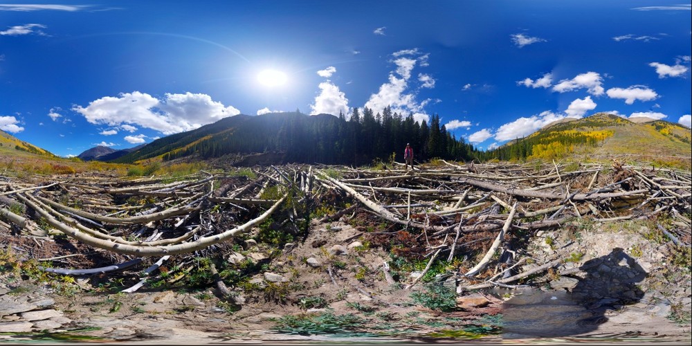 Avalanche Debris Field along Indepencence Pass, Colordao
