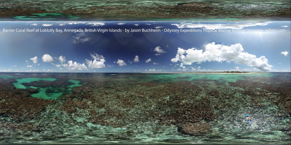 Loblolly Bay, Anngegada, British Virgin Islands