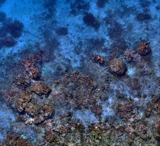 Sandy Island Reef