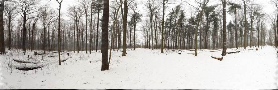 Panoramas Haute Définition (gigapixels) - Panosud 360 (84250 Le Thor)