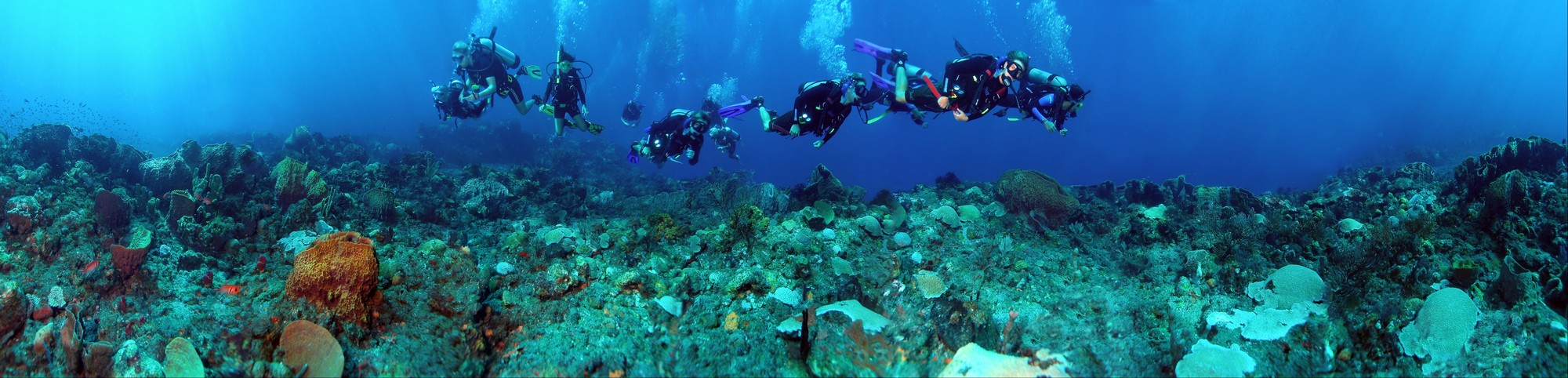 Odyssey Expeditions Students Explore 'Mystery Reef', St. Vincent
