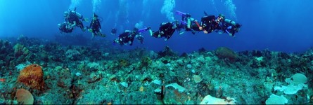 Odyssey Expeditions Students Explore 'Mystery Reef', St. Vincent